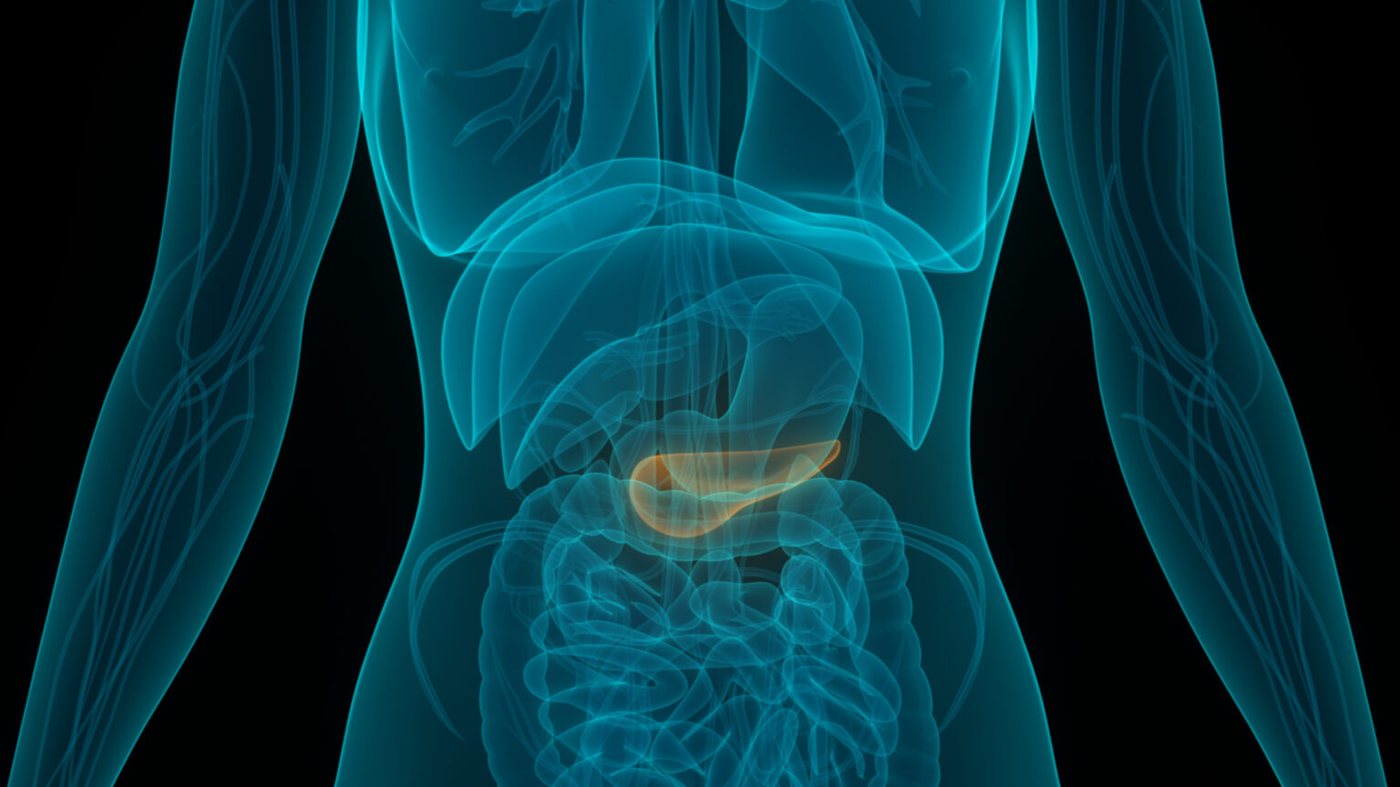 Pancreatic Cancer Warning Signs: Early Symptoms and When to See a Doctor